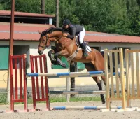 Sommertraum