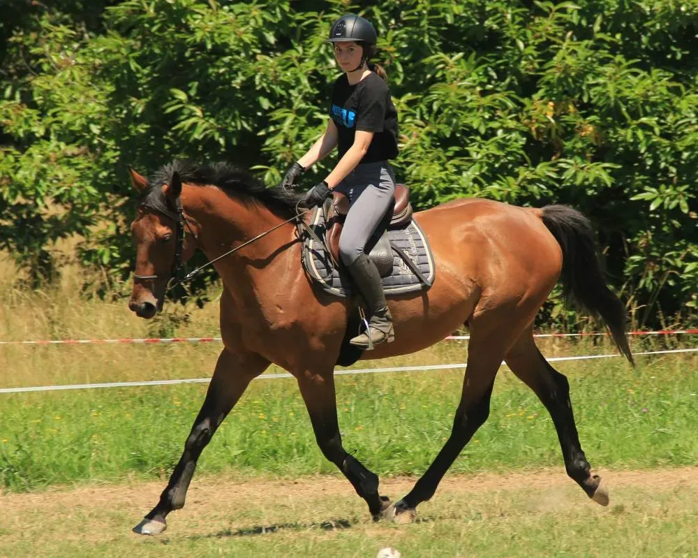 Sommertraum 2