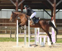 Sommertraum 5