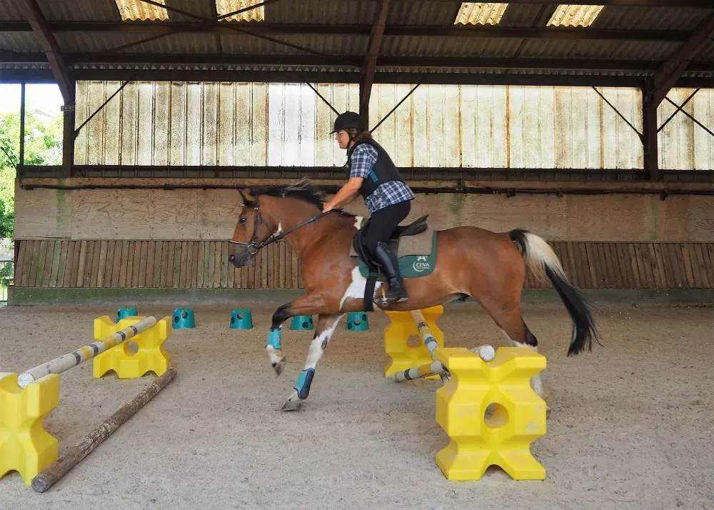 cours poney près de Lormont