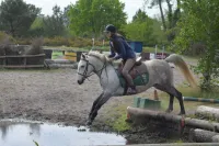 Bandit des Quarts 4