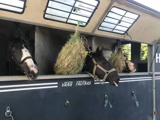 Generali open poney 2019 (1)