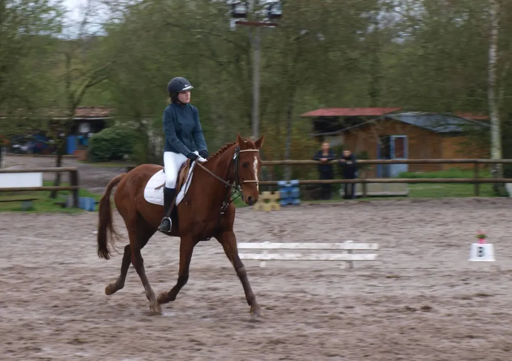 Generali open poney 2019 (2)
