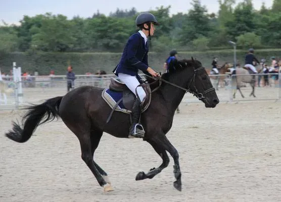 Generali open poney 2019 (3)