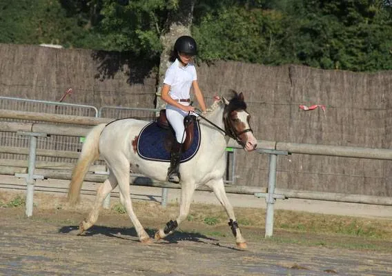 Generali open poney 2019 (6)