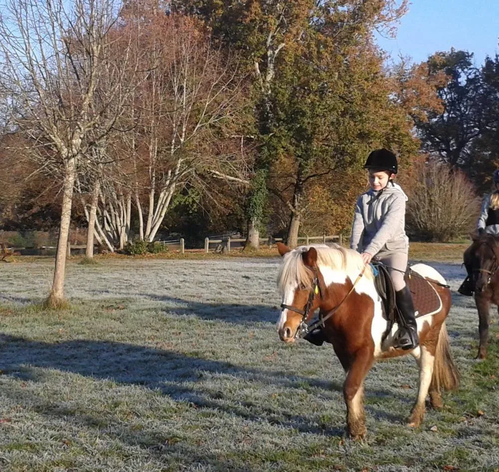 Topaze (2)
