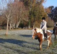 Topaze (2)