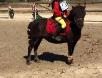 Rajka v.d Nolle (5)