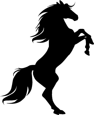 Irondelle
