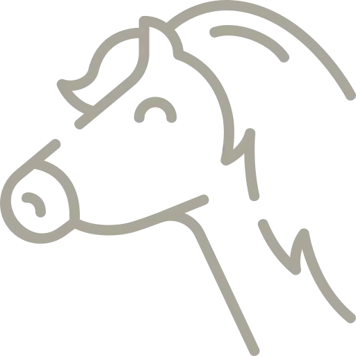 pictogramme d'un cheval