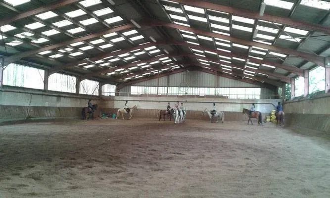 le manège (4)webp