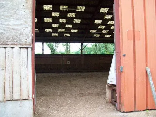 le manège (5)webp