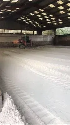 travaux du manège (7)webp