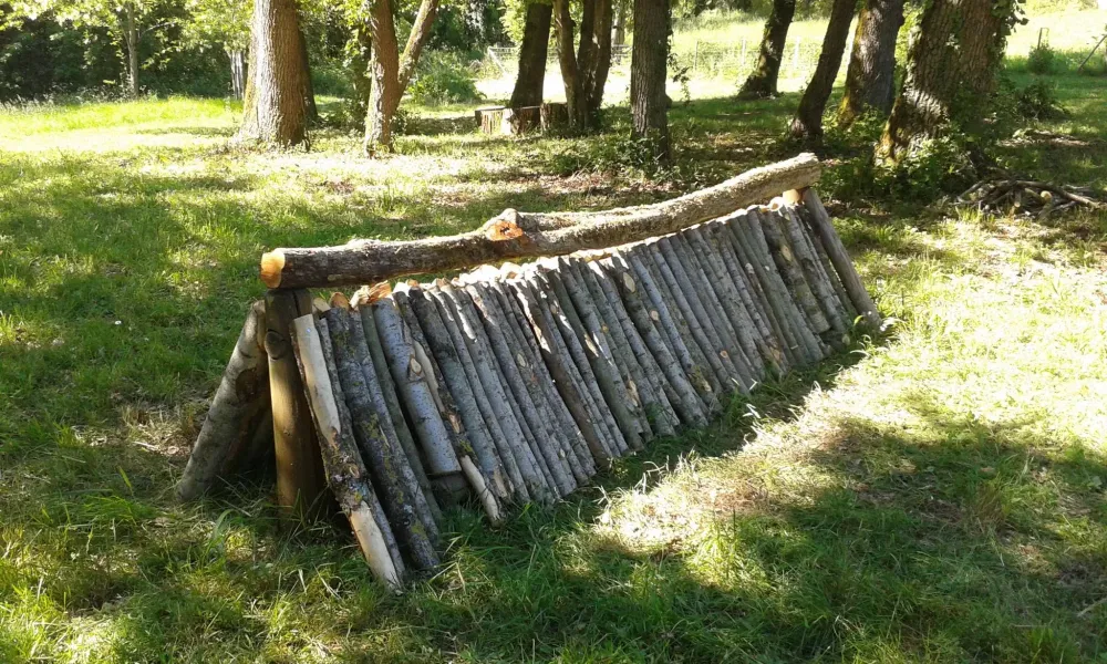 terrain de cross (2)