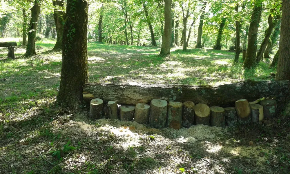 terrain de cross (1)