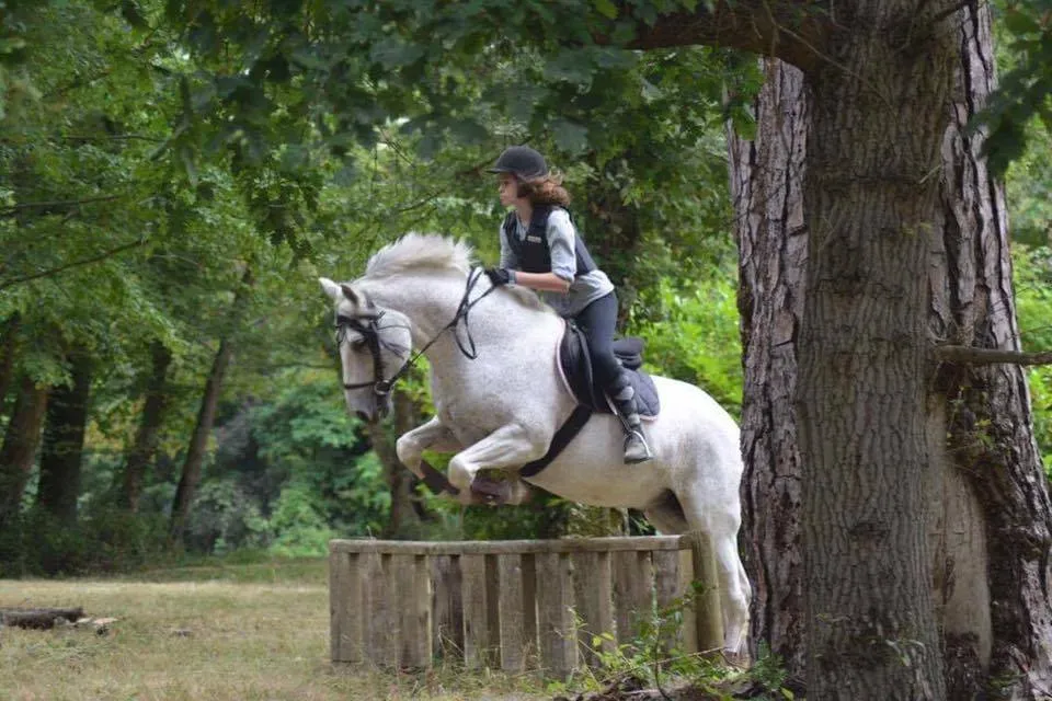 terrain de cross (15)