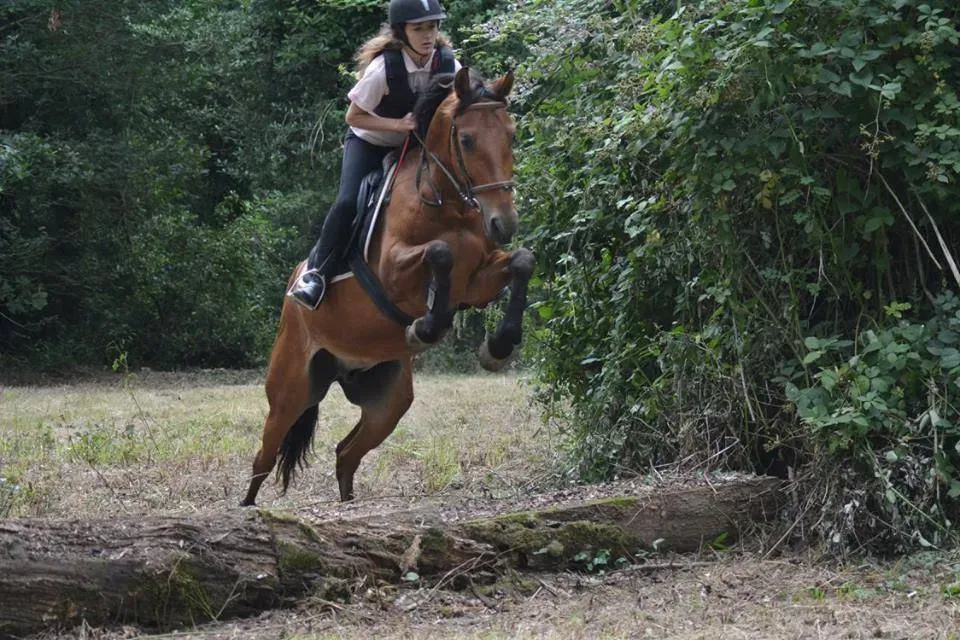 terrain de cross (13)