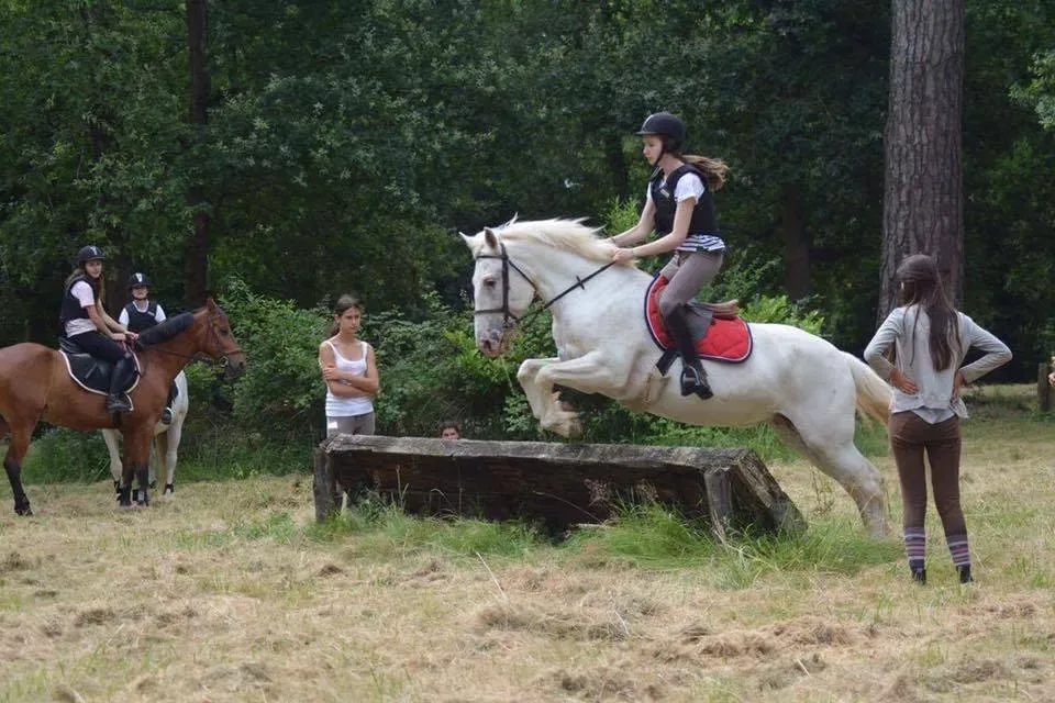 terrain de cross (10)