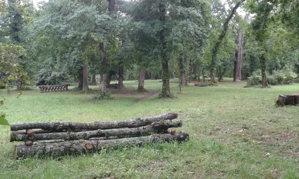terrain de cross (9)
