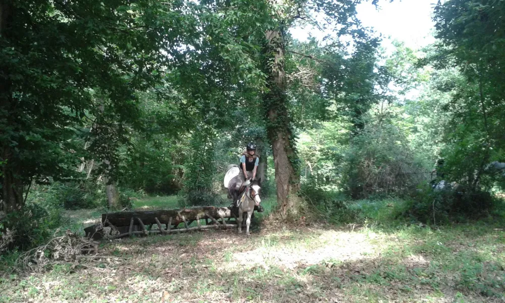 terrain de cross (8)