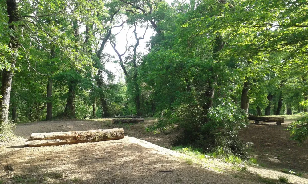 terrain de cross (7)