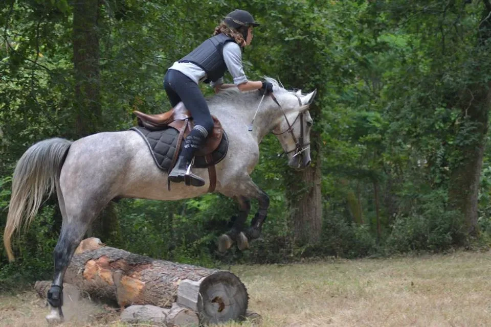 terrain de cross (6)