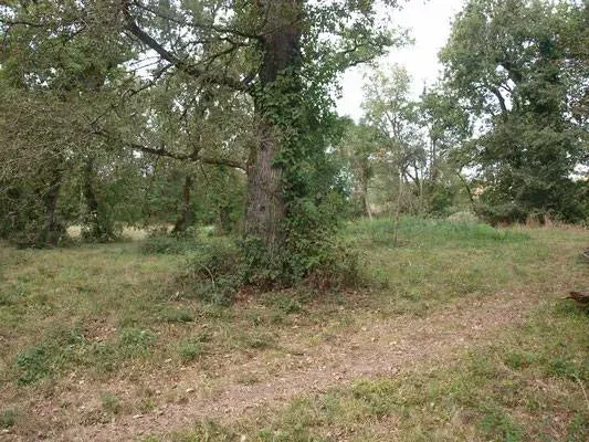 travaux terrain de cross (2)