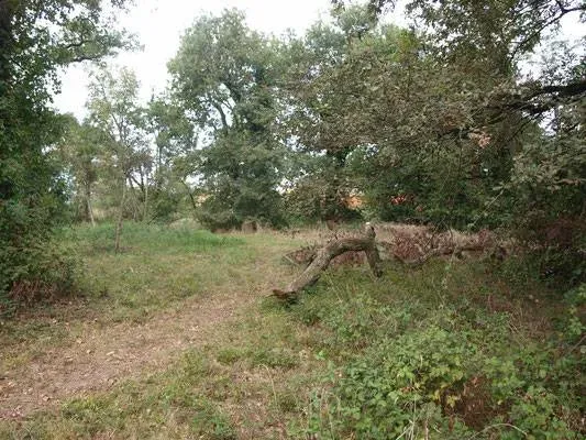 travaux terrain de cross (3)