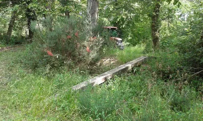 travaux terrain de cross (6)