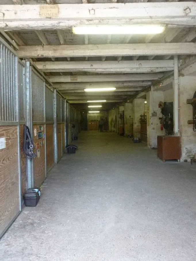 écuries (4)webp