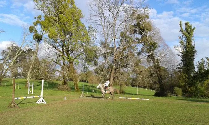 carrière (5)webp