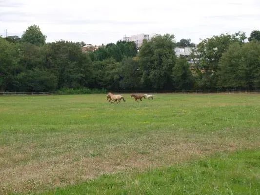 pré (4)webp