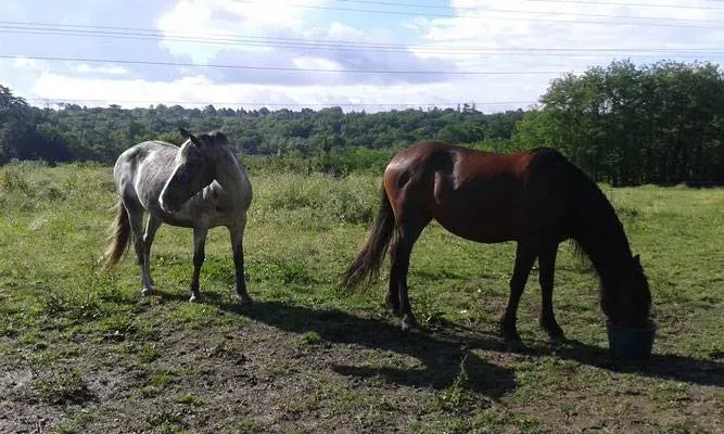 grand pré (6)webp