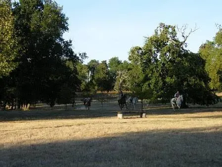 terrains de balade (2)