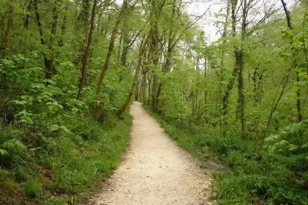 terrains de balade (4)