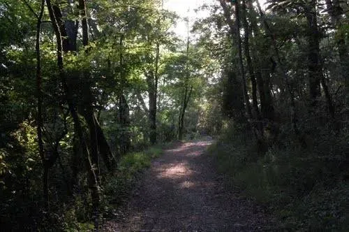 terrains de balade (5)