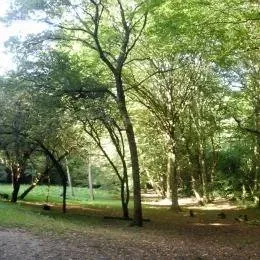 terrains de balade (6)