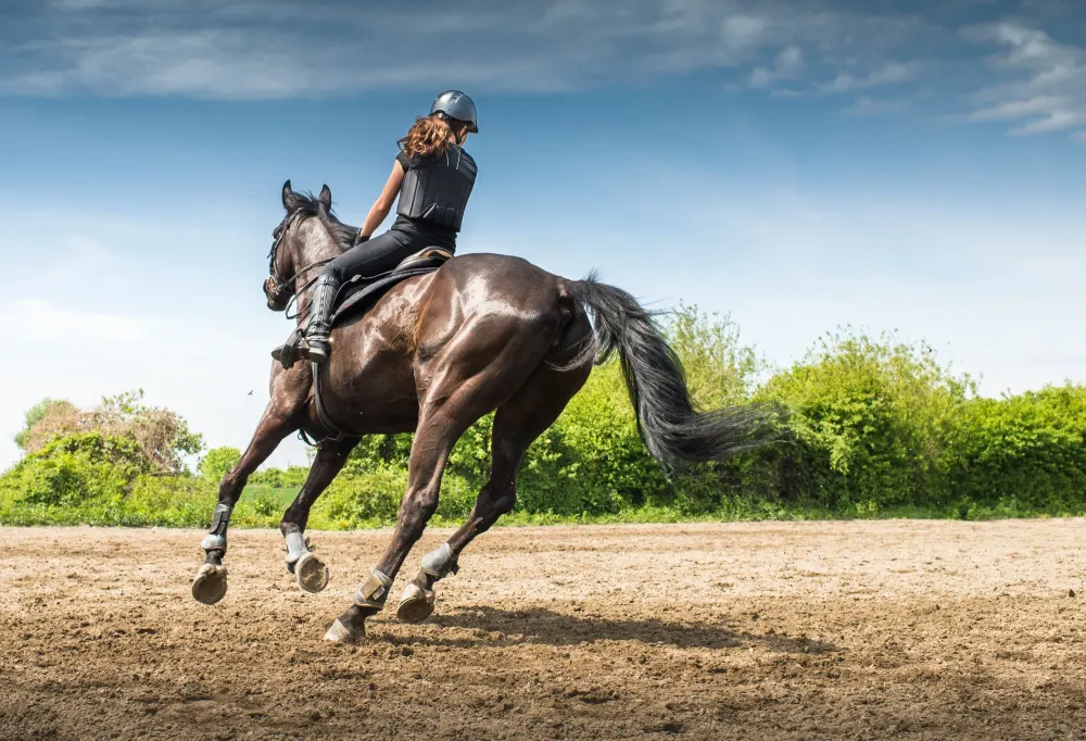 cours cheval près de Lormont