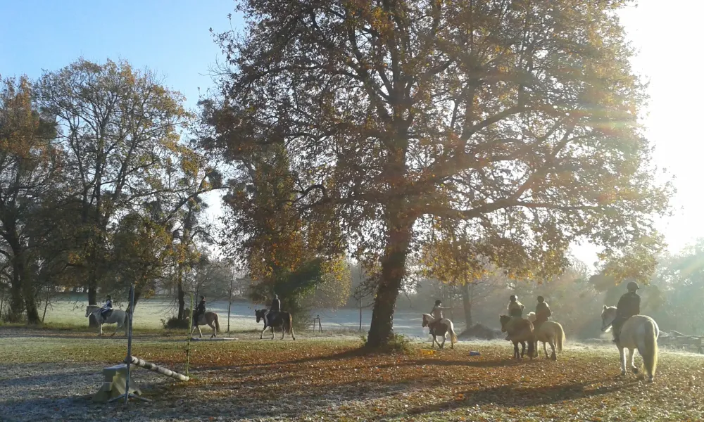 prom 8 poney automne  nov 2016 (6)